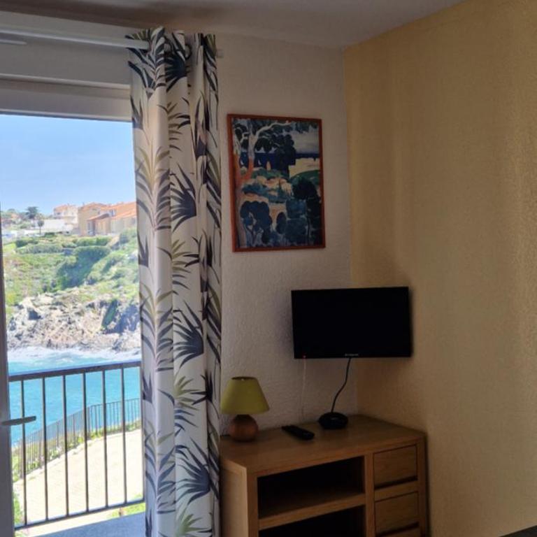 COLLIOURE Appart En Bord de MER PLAGE à 50m CLIM Garage location du samedi au samedi - Apartamento de 1 dormitorio - 3