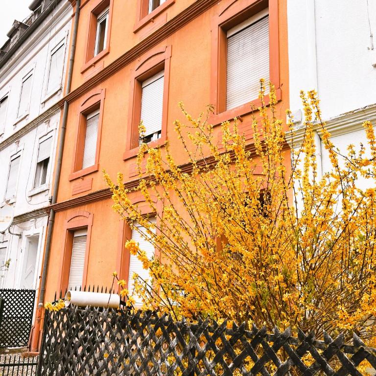 RS-0 - Chaleureux 2 pièces au RDC tout équipé 1 à 4 pers - One-Bedroom Apartment - 25