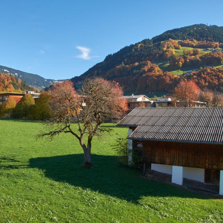 Haus Doro und Kurt - Appartamento con 3 camere da letto e doccia - 12