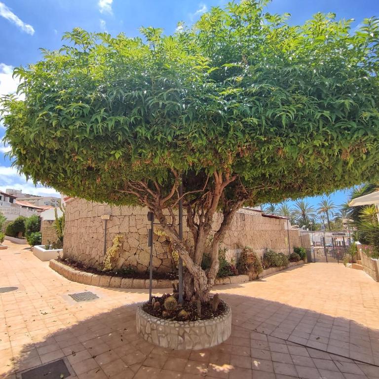 Modern 1 Bedroom Apartment with Terrace and AC Near Beach in Las Americas - Apartamento de 1 dormitorio con terraza - 31
