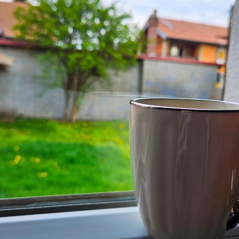 LOKI home Beograd,near airport - Apartman sa 1 Spavaćom Sobom - 13