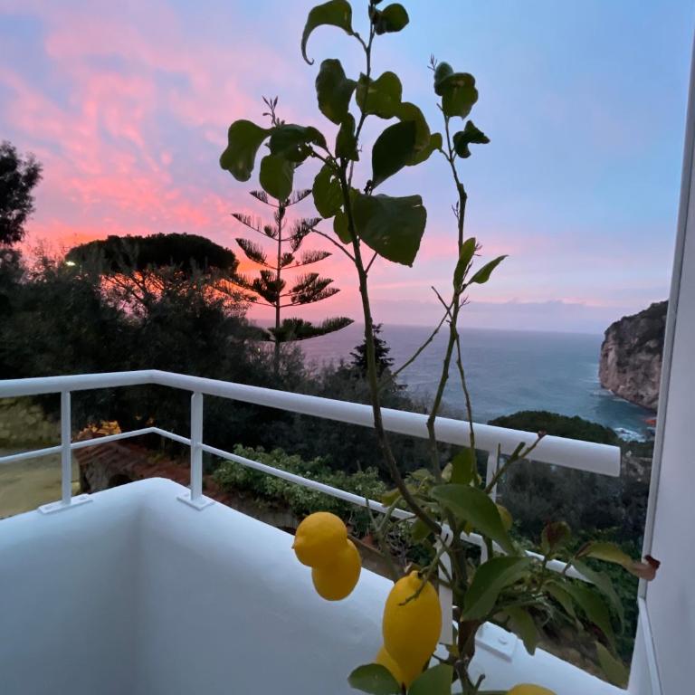 Suitebienvenido - Appartamento con 1 Camera da Letto - 35