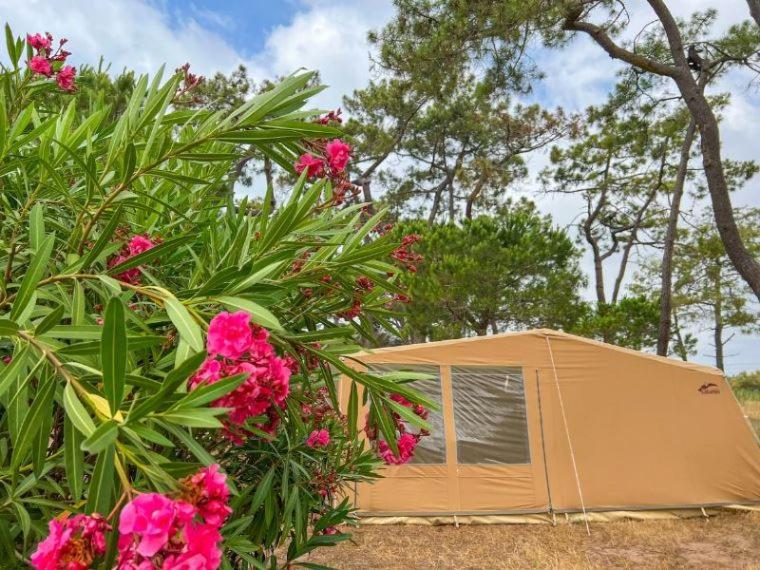 Camping la Tamarissière - Tente Standard - 4 Personnes - 1