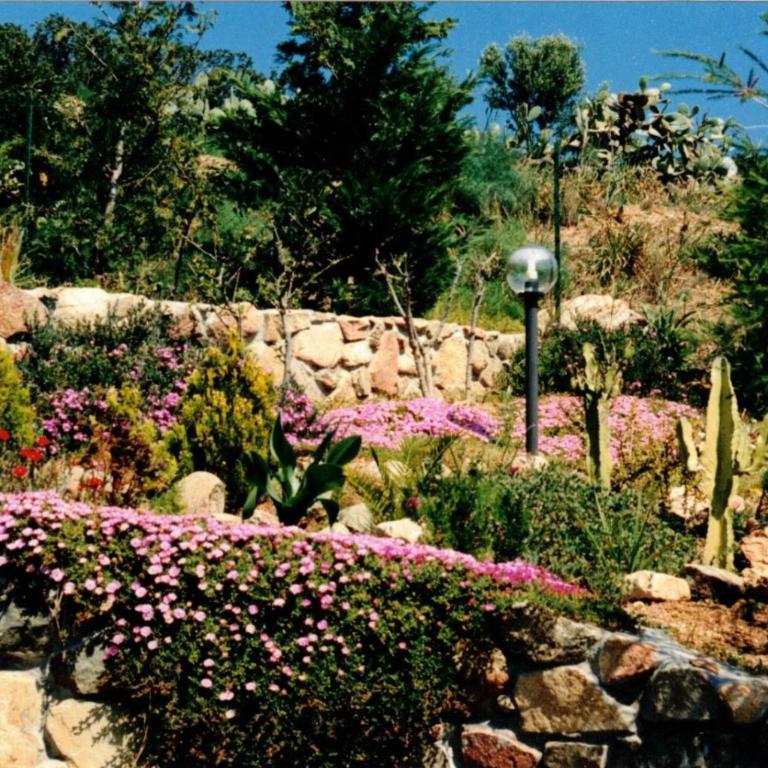 Sa Domu de Is Istellas - Four-Bedroom House - 27