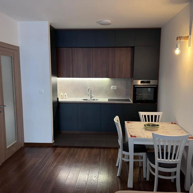 Podgorica Royal Apartment - Apartman sa 1 Spavaćom Sobom - 10
