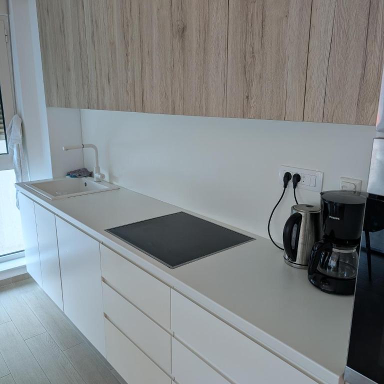Seaview Apartment Bečići - Apartman sa 2 Spavaće Sobe - 10