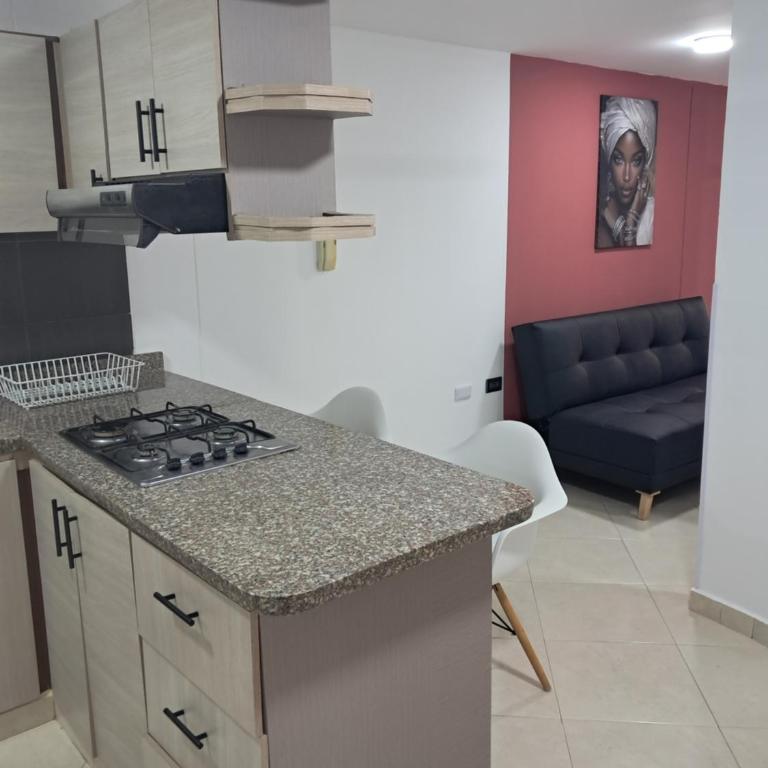 San Alonso Business Apartment Bucaramanga - Two-Bedroom Apartment - 2