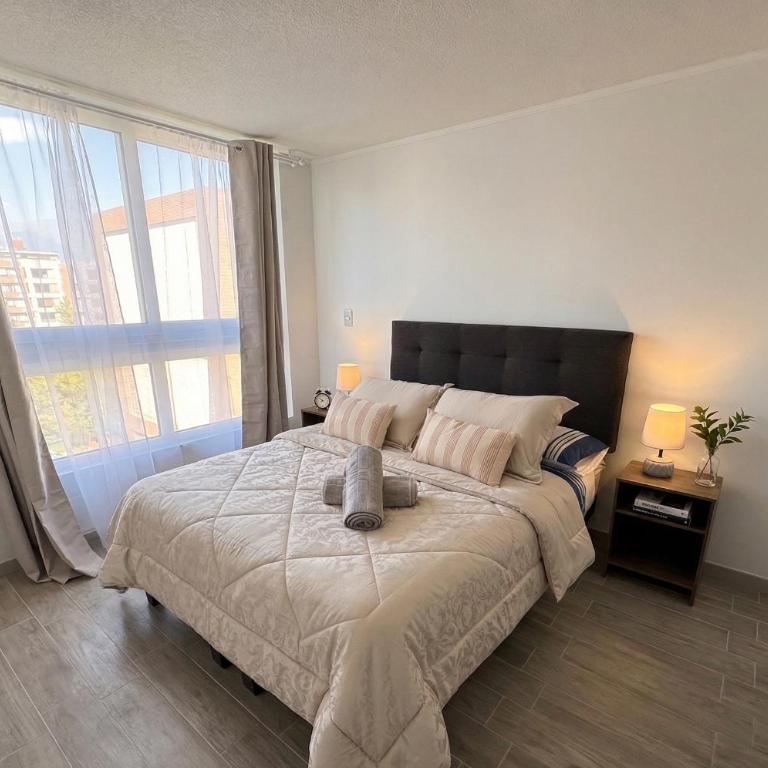 Conciertos Movistar Arena I Parque Ohiggins - One-Bedroom Apartment - 2