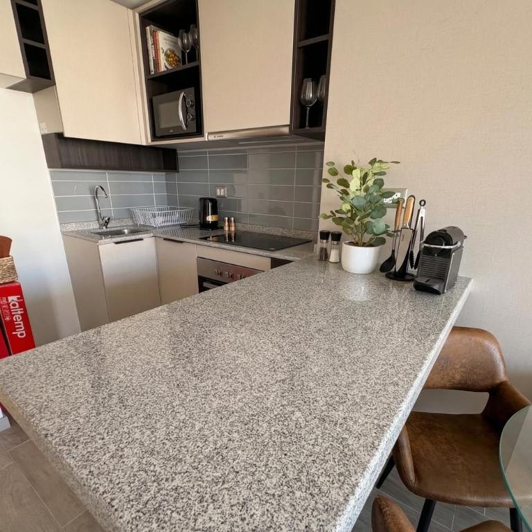 Conciertos Movistar Arena I Parque Ohiggins - One-Bedroom Apartment - 12