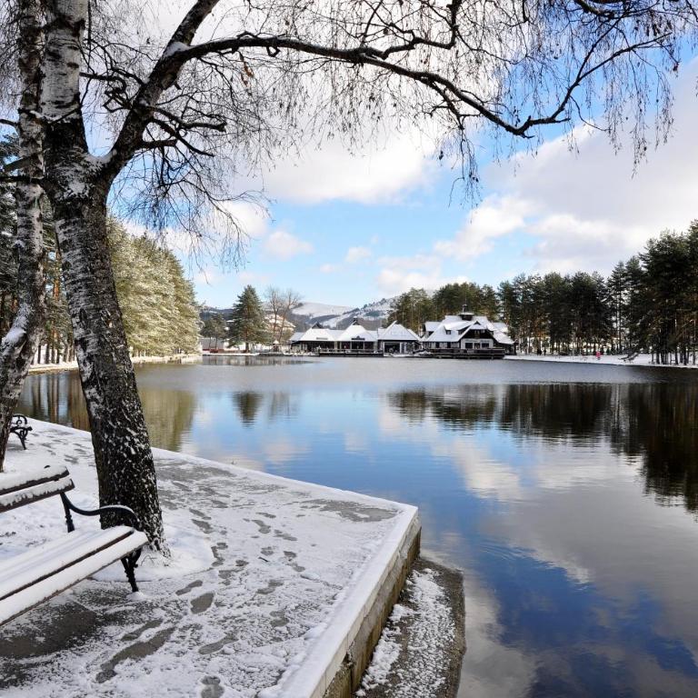 Apartments Milas - One-Bedroom Apartment - 3