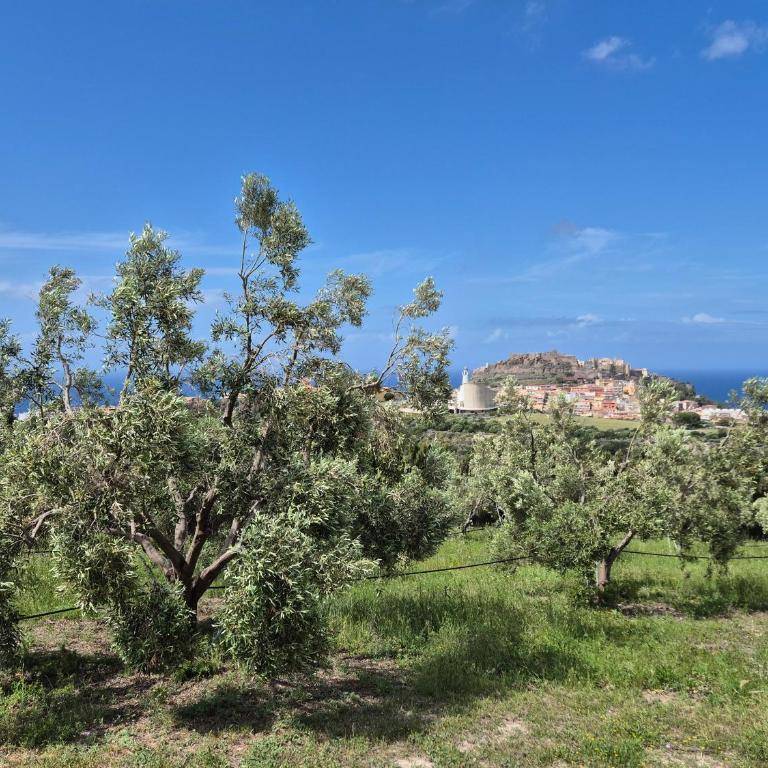 Villetta Olivia Casa in collina vista mare - Casa con 2 Camere da Letto - 3