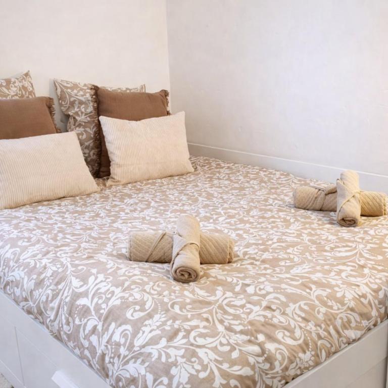 Le Petit Léon Studio Clermont - Appartement 1 Chambre - 3