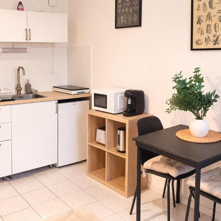Le Petit Léon Studio Clermont - Appartement 1 Chambre - 4