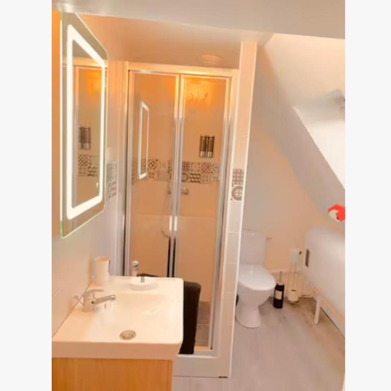 Le Cocon Appartement chaleureux hypercentre Blois - Appartamento con 2 Camere da Letto - 18