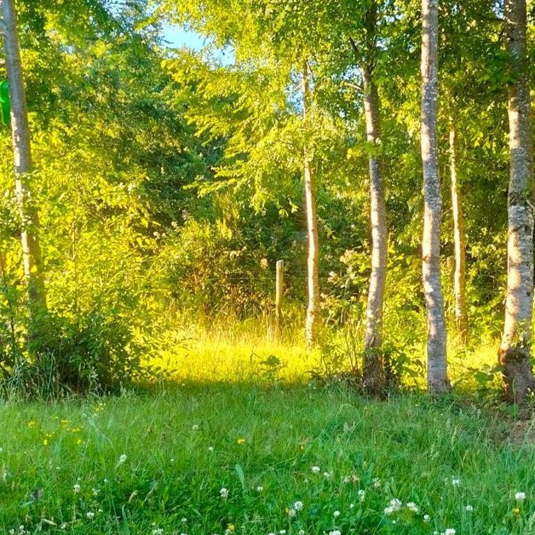 La reserva del Curaco - Casa de 2 dormitorios - 6