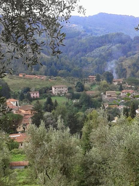 La casa del fattore - Casa de 2 dormitorios - 31