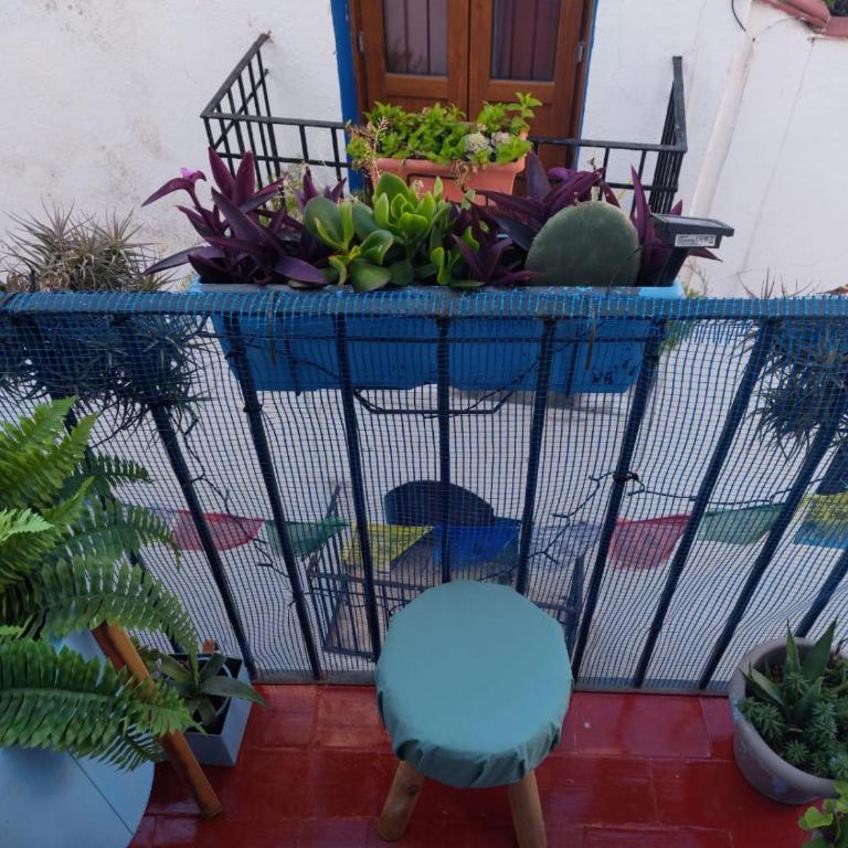 Kasaluna71 Vista Mar, en el Castillo y Parking Privado - Casa Unifamiliar de 2 dormitorios - 67