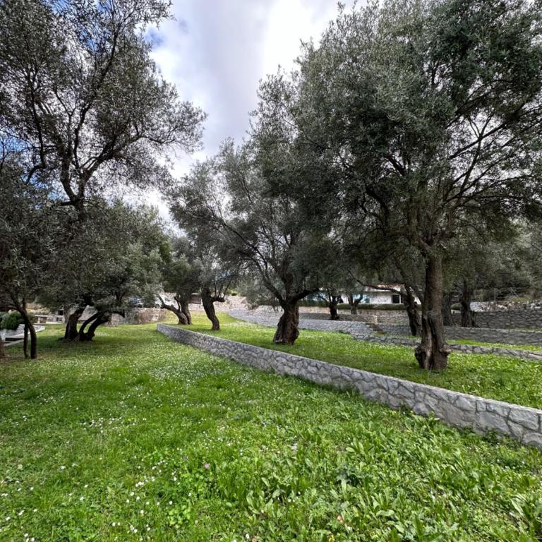 Villa Nika - Vila sa 1 Spavaćom Sobom - 22