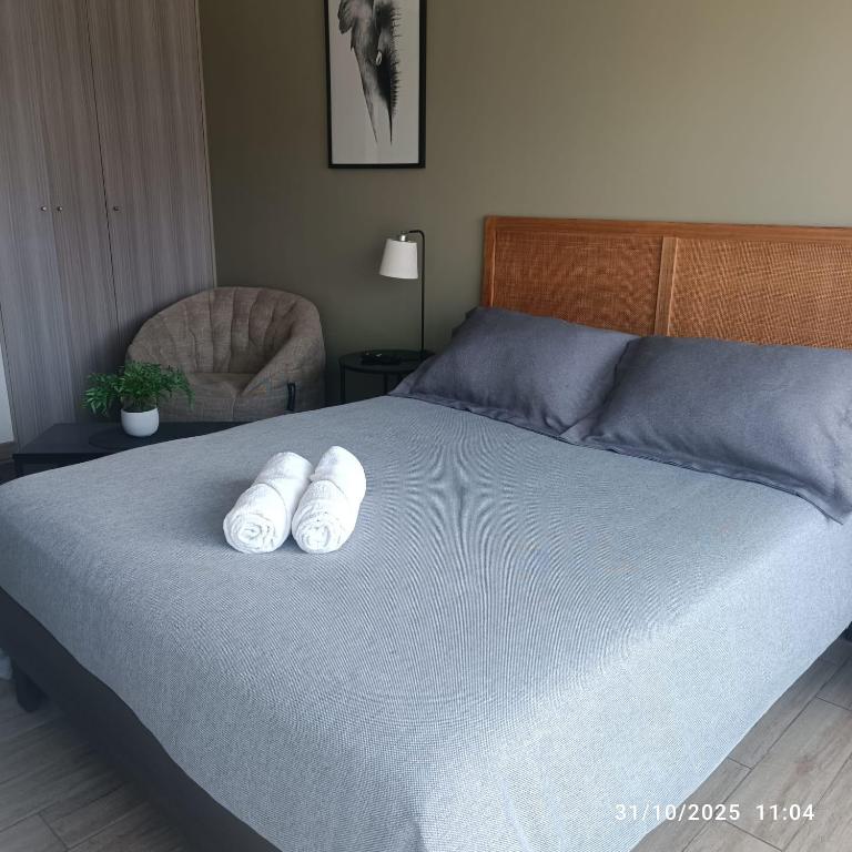 HOM I Moderno Depto a pasos Mall Antofagasta I WIFI - Apartment - 11