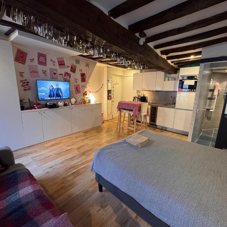 1 Cozy Studio in Historic 3rd Arr Near Metro - One-Bedroom Apartment - 5