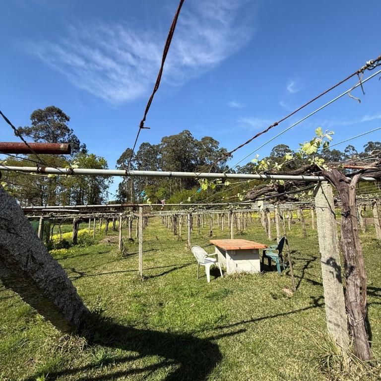 Finca Escusas Sanxenxo - Apartamento de 2 dormitorios con terraza - 18