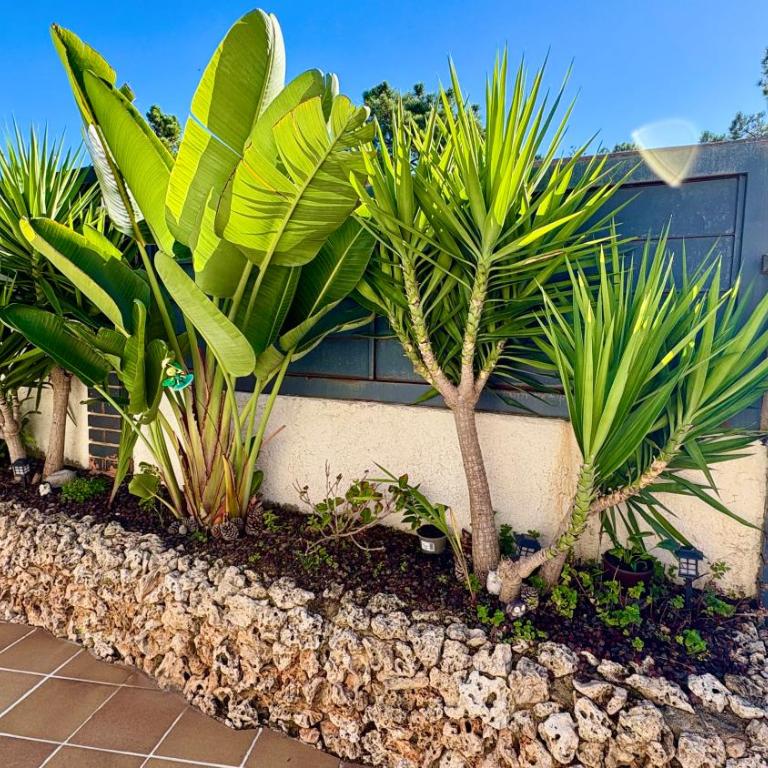 Villa Lloret De Mar - Villa con piscina privada - 14