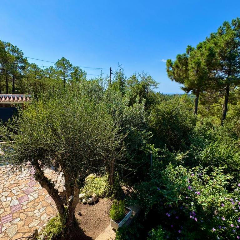 Villa Lloret De Mar - Villa con piscina privada - 35
