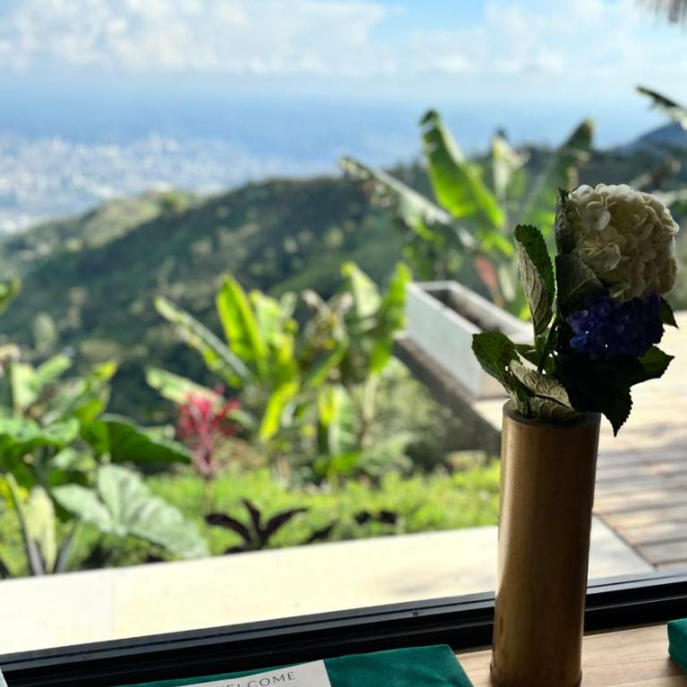 Casa Alta Colombia, ecolodge con vistas, Pereira - King Room with Mountain View - 8