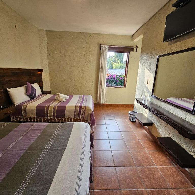 Arte Sano Hotel San Cristobal - Twin Room - 8
