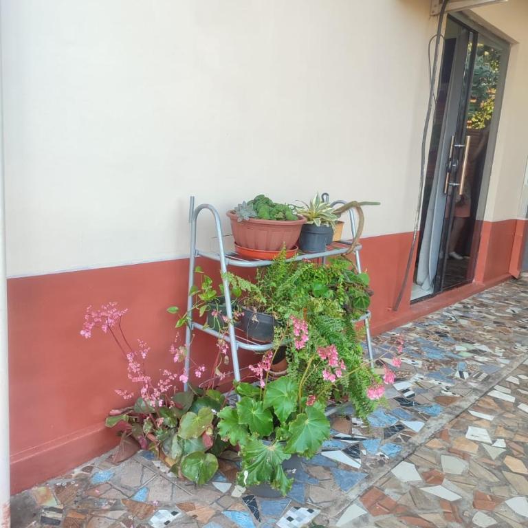 Alquiler de una pieza con baño - Apartamento de 1 dormitorio - 5