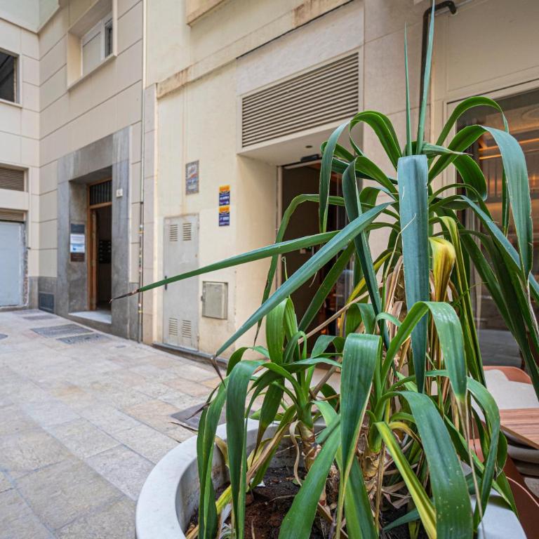 Apartamento Exclusivo en pleno corazón de Málaga - Apartamento de 3 dormitorios - 13