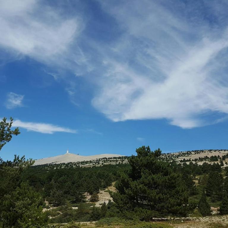 Charmant bastidon climatisé terrasse et jardin dans domaine naturiste Mont Ventoux - Maison 2 Chambres - 19
