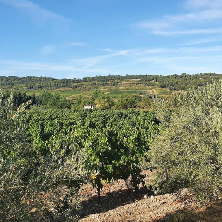 Charmant bastidon climatisé terrasse et jardin dans domaine naturiste Mont Ventoux - Maison 2 Chambres - 24