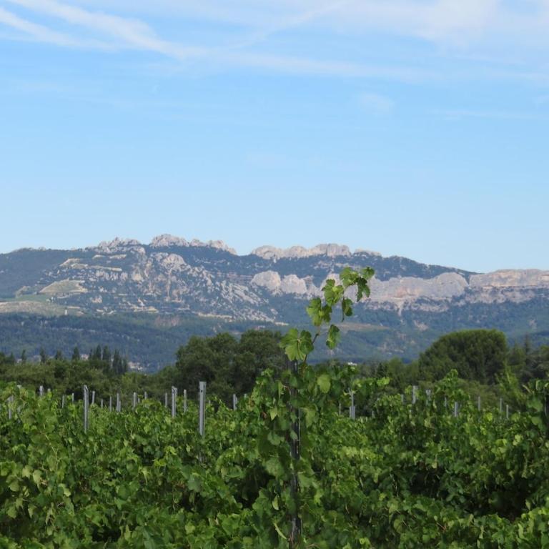 Charmant bastidon climatisé terrasse et jardin dans domaine naturiste Mont Ventoux - Maison 2 Chambres - 22