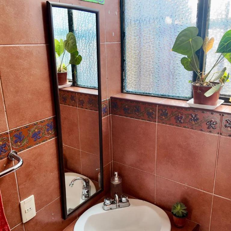 13 Cielos Hostel & Coworking - Bed in 4-Bed Female Dormitory Room - 6