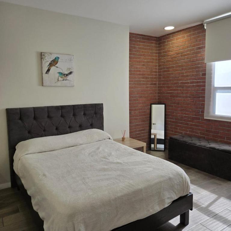 Comfortable and quiet apartment in Barrio Antiguo - One-Bedroom Apartment - 3