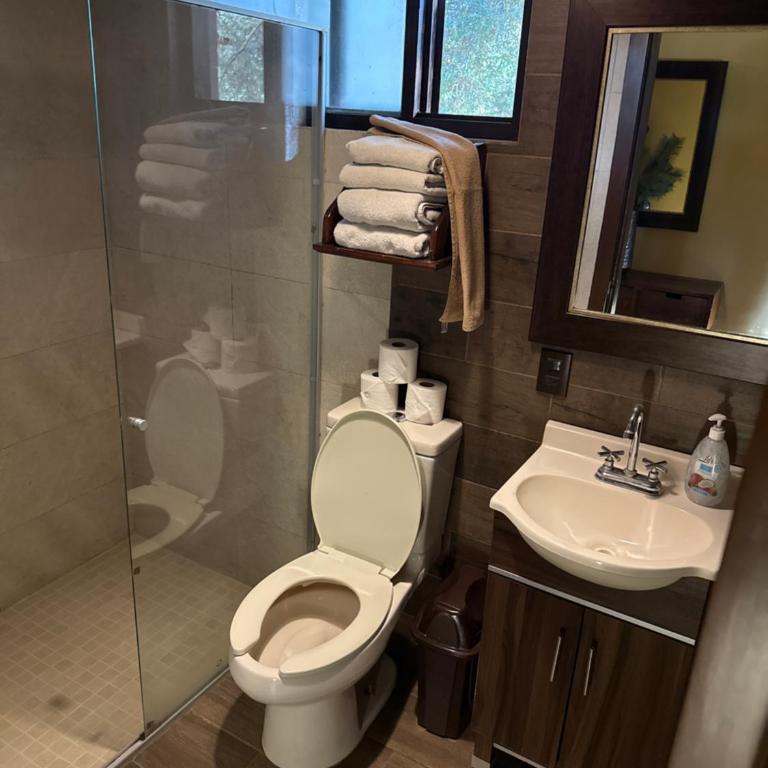 Hermosa cabaña con terraza para disfrutar Cabañas puerta del bosque Mazamitla - Casa de 4 dormitorios - 29