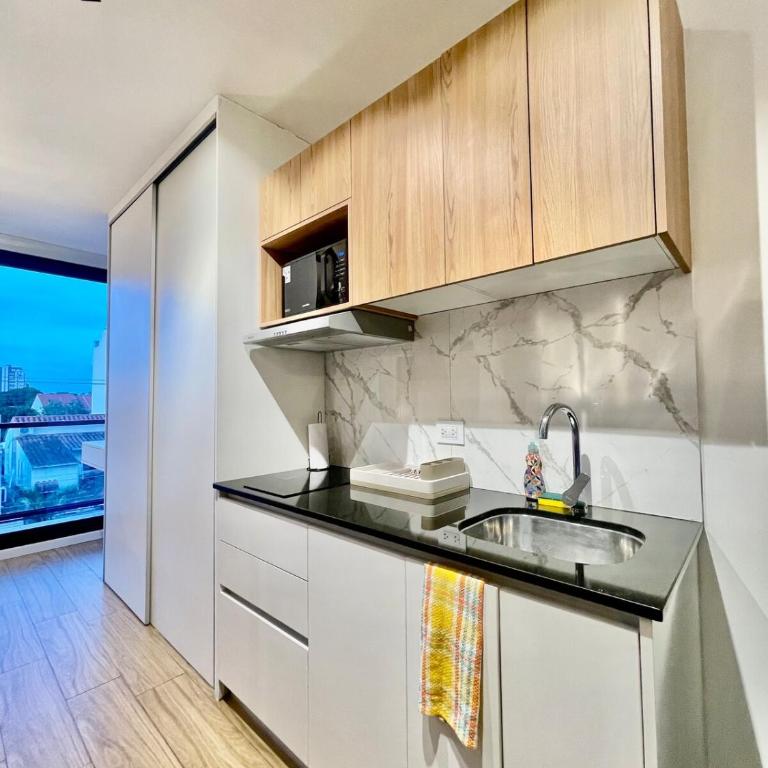 Loft en Zona Hamacas con una vista al parque - One-Bedroom Apartment - 17
