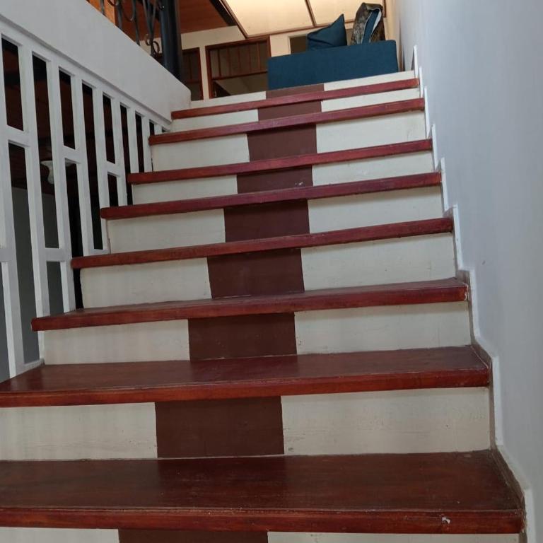 Aptos luminoso y cómodos en barrio tranquilo y un poco rural - Apartamento de 2 dormitorios con terraza - 32