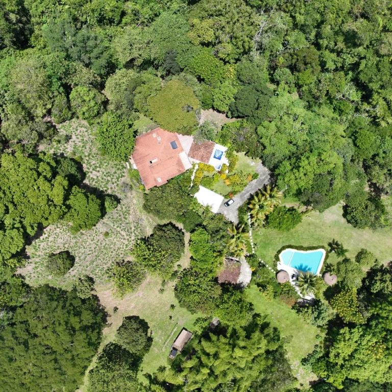 Finca La Verbena - Apartment - 33
