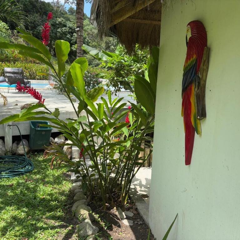 Finca La Verbena - Apartment - 38