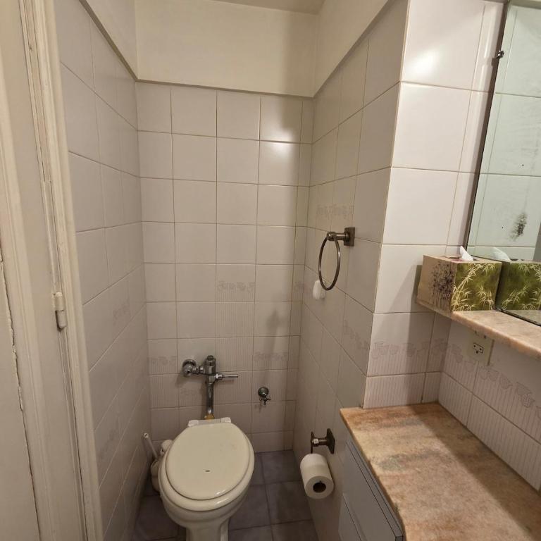 Amplio Departamento en el Centro - Two-Bedroom Apartment - 12