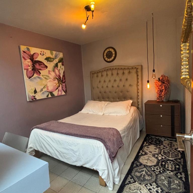 Morada Luna Condesa - Standard Double Room - 2