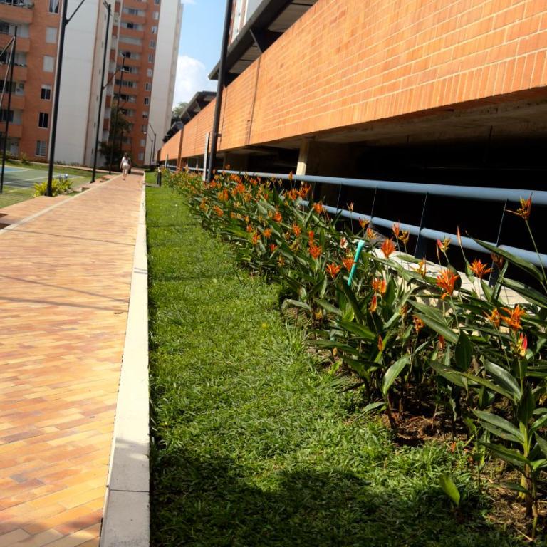 Apartamento Ibagué La Samaria, cerca a el aeropuerto, clinicas y parque deportivo - Apartamento de 3 dormitorios - 25
