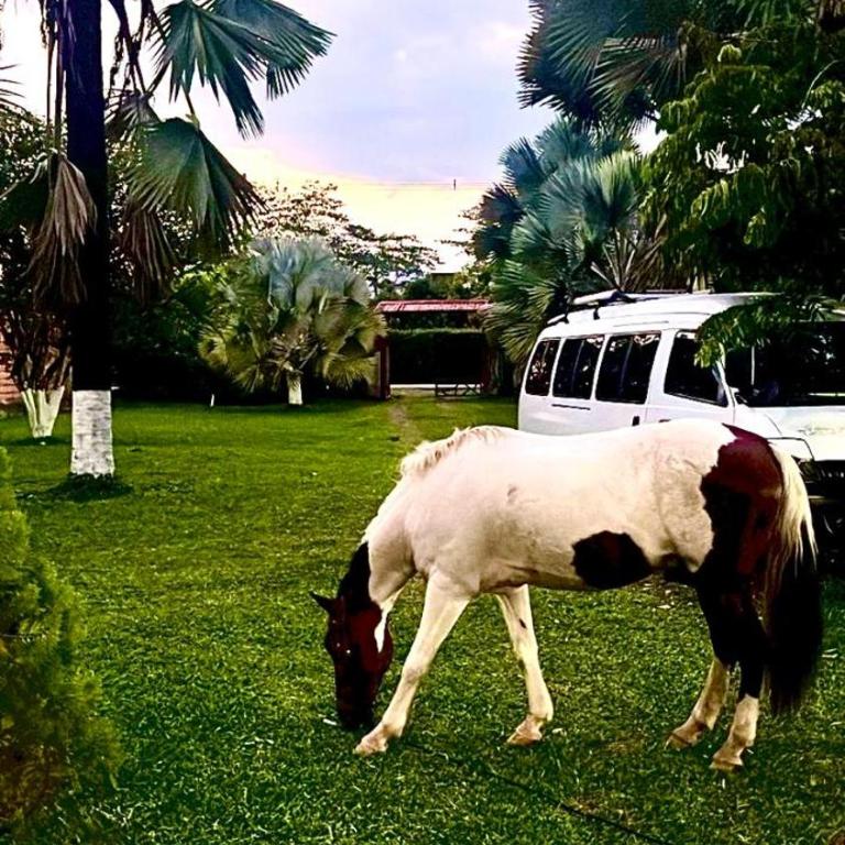 Finca en los llanos San Joaquin - Four-Bedroom Vacation Home - 32