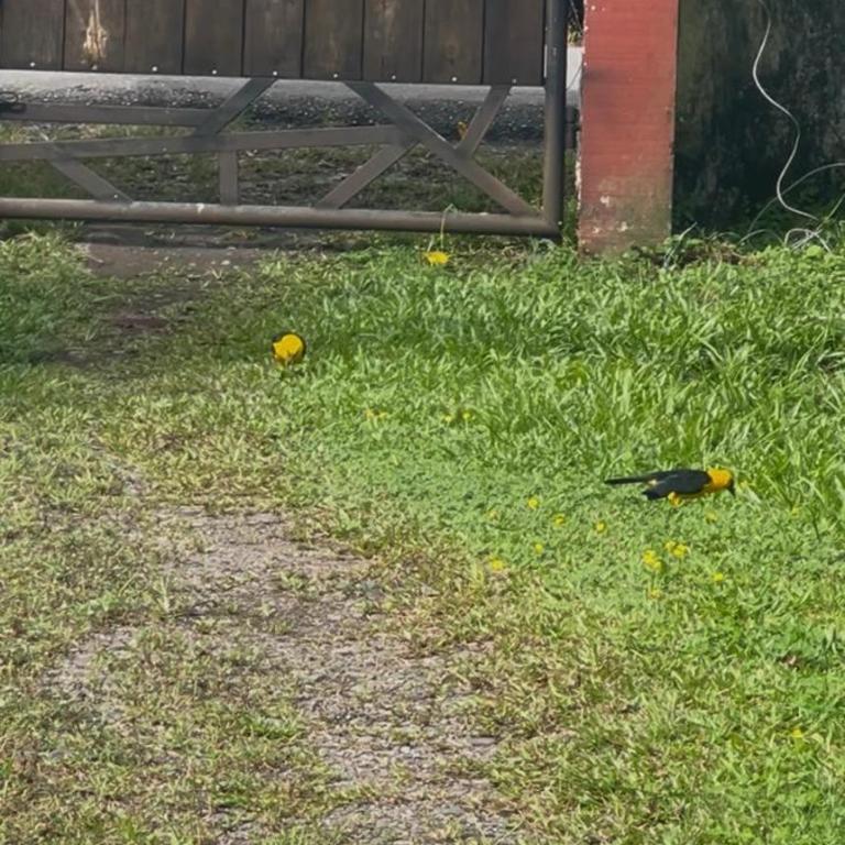 Finca en los llanos San Joaquin - Four-Bedroom Vacation Home - 29