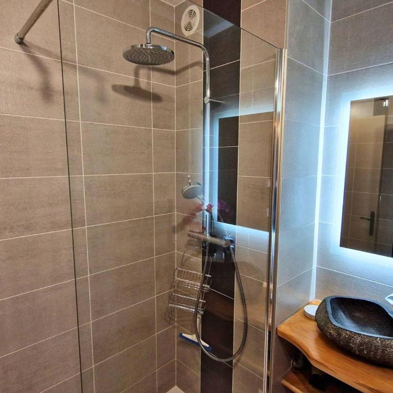 Grand studio, animaux admis - 6 pers., balcon SUD - Studio - 3