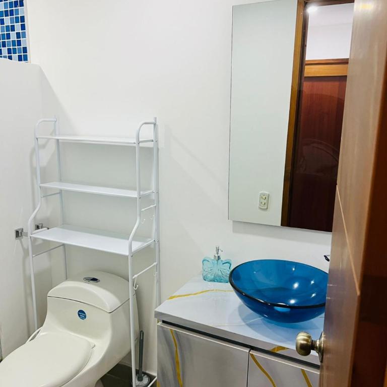 Palmetto - One-Bedroom Apartment - 5