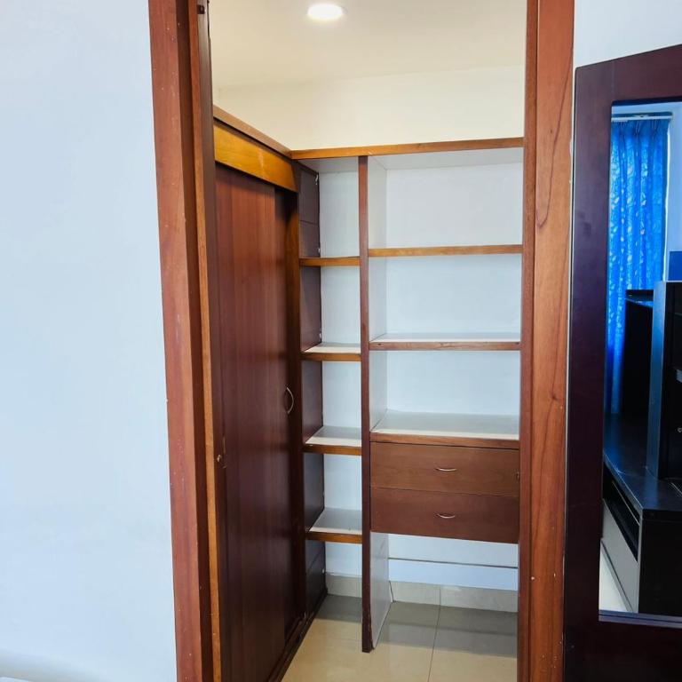 Palmetto - One-Bedroom Apartment - 12