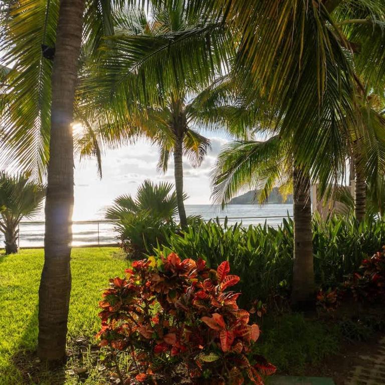 Luxe Oceanfront Condo in Golden Zone - Apartment - 55